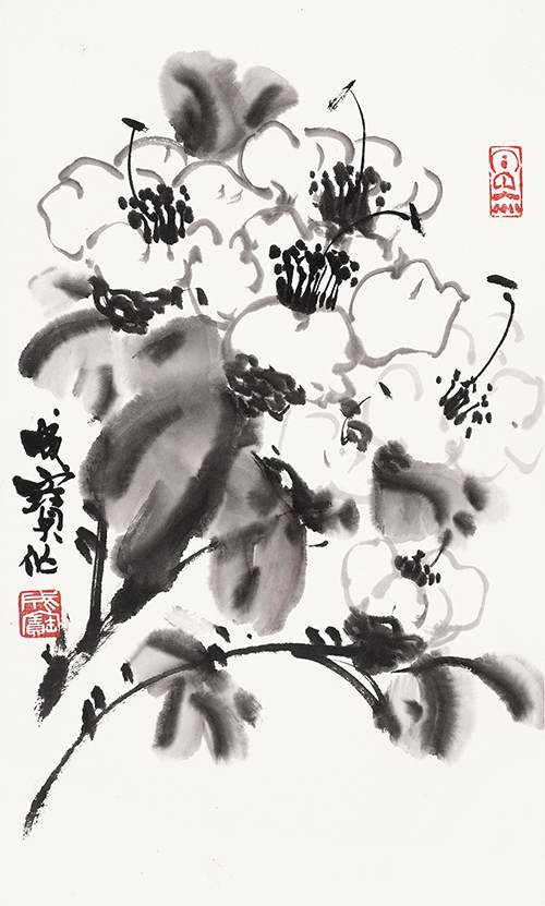 册页勾线茶花36cmx22cmjpg
