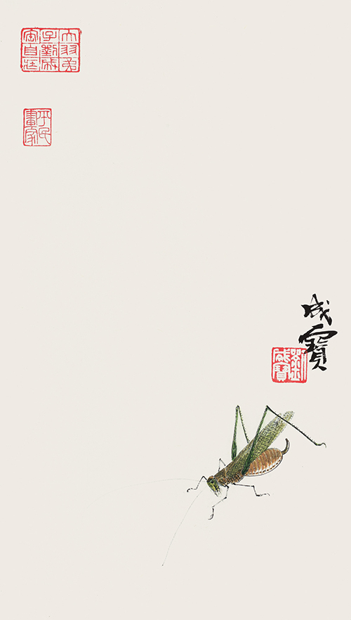 青虫 43cmx25cm