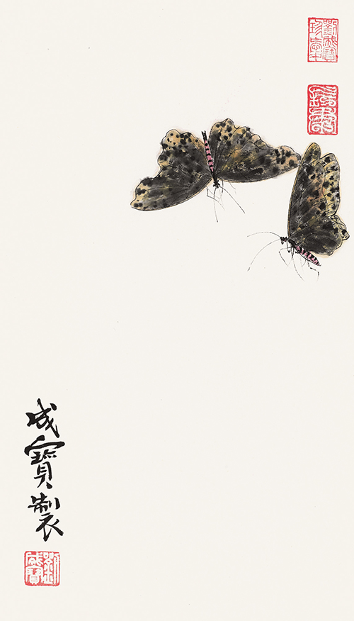 双蝶 43cmx25cm