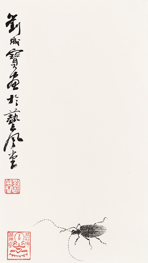 天牛 43cmx25cm