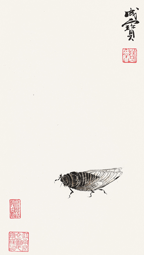知了 43cmx25cm