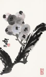 册页墨枇杷36cmx22cm