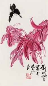 老来红43cmx25cm