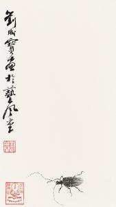 天牛 43cmx25cm