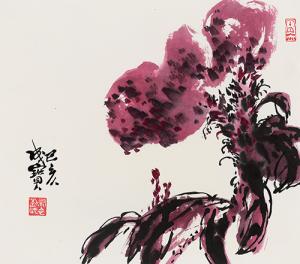 雄冠 34cmx38cm